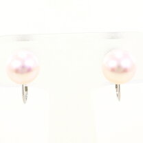 楽天市場】pt850(プラチナ) 真珠 パール イヤリング ネジ式 レディース 