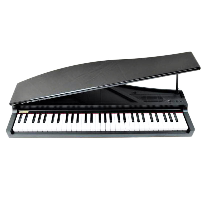 KORG コルグ/デジタルピアノ/MICRO PIANO/036818/鍵盤楽器/ABランク/71【中古】 | ワンダーレックス 楽天市場店