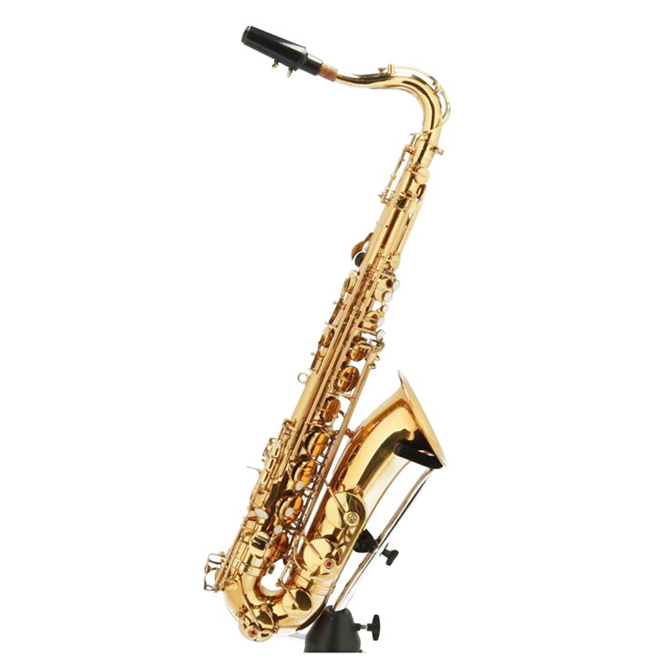 楽天市場】KAERNTNER ケルントナー/テナーサックス/KTN65/管楽器/B 