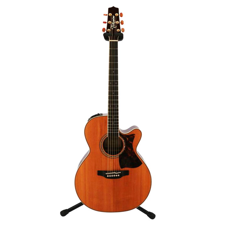 楽天市場】当店限定 12/31まで！エントリーでポイント10倍♪TAKAMINE 