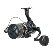 楽天市場】20 ストラディック sw 10000（フィッシング｜スポーツ 