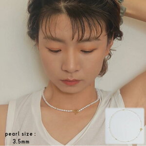 p[lbNX@3.5mm@Wp[ fB[X@Mtg@v[g@^@AM[Ή@Vo[@  Vv fB[X  w Mtg JWA v[