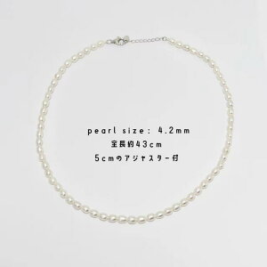 p[lbNX@4.2mm@Wp[ fB[X@Mtg@v[g@^@AM[Ή@Vo[@  Vv fB[X  w Mtg JWA v[