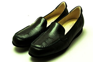 Z[@ViC_[ schneider [t@[ Rr ׂ̍̃[t@[