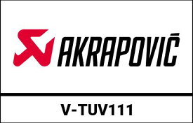 AKRAPOVIC / アクラポビッチ オプショナルノイズダンパー BMW S 1000 RR (2019-2021) | V-TUV111