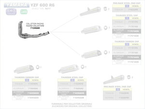 ARROW / A[ YAMAHA YZF R6 '06 4:2:1 XeXRN^[ | 71346MI