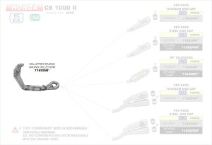 ARROW / �A���[ HONDA CB 1000R �X�e�����X RACING �R���N�^�[ �L���^���C�U�[���� �I���W�i�� / Arrow | 71693MI