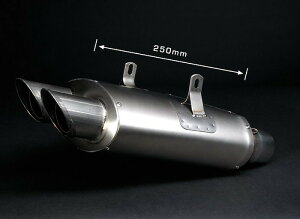 Bodis�i�{�f�B�X�j�t���G�L�]�[�X�g�V�X�e�� �X�e�����X/�t���`�^�� Oval Q4 NINJA ZX-6R(07-08) | | KZX6R-024