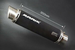 Bodis (�{�f�B�X) GP1 (2000-2005) CPL-�V�X�e�� 4-1 �}�t���[ �X�e�����X�u���b�N | SGSXR600-036