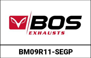 BOS / {X SSEC GP RR XbvIGL][Xg 2-1 [VOVXe `^ BMW Rnine T 2017- | BM09R11-SEGP