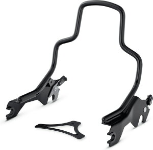 n[[_rbh\ V[V[o[AbvCg 18Nȍ~ FXFB V[g/OXubN | 523