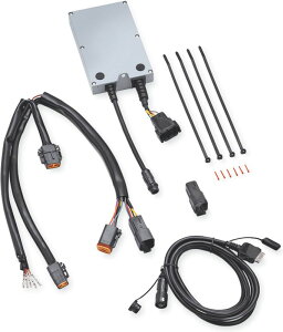 n[[_rbh\ iPod C^[tFCX 06N-13N FLH | 76476-10