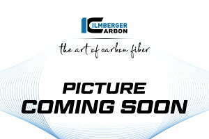ILMBERGER / �C�����o�[�K�[ ���A�t�F���_�[ BDC �}�b�g BMW R12 NineT 2024 | BM.KHO.018.R12NT