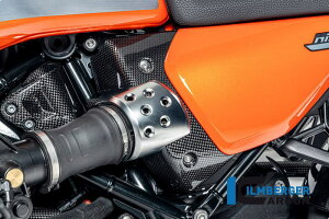 ILMBERGER / �C�����o�[�K�[ �����G�A�{�b�N�X�J�o�[ �J�[�{���O���X BMW R12 NineT 2024 | CG.ABL.016.R12NT