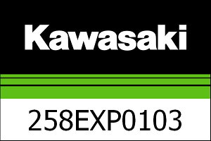 Kawasaki / JTL GM][XgVXeRv[g (Euro5) | 258EXP0103