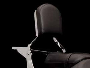 Kawasaki / JTL pbh-V[V[o[-ubN | 391560187MA