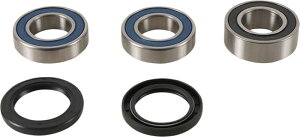 Pivot Works Bearing Whl Rr Sherco | PWRWK-SH1-000