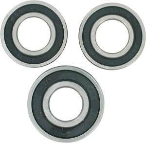 Pivot Works Bearing Whl Rr T06-000 | PWRWK-T06-000