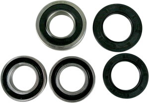 Pivot Works Bearing Rr Whl S11-000 | PWRWS-S11-000