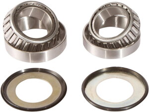 Pivot Works Steering Stem Bearings | PWSSK-H01-521
