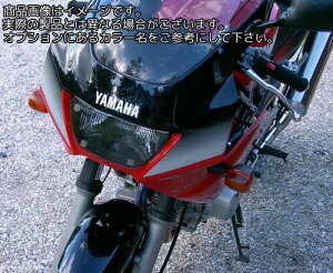 Powerbronze / �p���[�u�����Y �w�b�h���C�g �v���e�N�^�[ YAMAHA TRX850 �_�[�N �e�B���g | 440-Y109-002