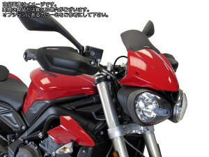 カウル スクリーン ストリートトリプルの人気商品・通販・価格比較 