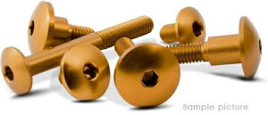 Valtermoto / �o���^�[���g �Z�p���t�{���g ?22 R5 M6 L30 �S�[���h | VMC056 30 S 03