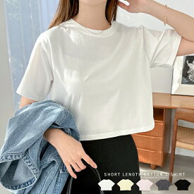 ショート丈 コットン 半袖 Tシャツ レディース 綿100％ 半袖Tシャツ ミニ カットソー 体型カバー 二の腕カバー オーバーサイズ ゆったり フレンチスリーブ ノースリーブ 薄手 シアー 短丈 短い 丈 シャツ コットン カジュアル トレンド 夏服 M L 春夏 春 夏 秋 t06 【mail】