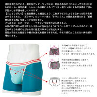 SkySourふんどしパンツ(BC)ボクサータイプ送料無料ボクサーパンツメンズパンツショーツ下着ボクサートランクス二重構造おしゃれ防臭消臭部屋干プレゼントギフト大きいサイズMLLL機能性インナーふんどしショーツ日本製スカイサワー綿