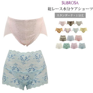 PAV[c փV[c 15ccΉ X^_[h 1  fB[X p pc  [X V[c }^jeB Pi nCEGXg ZNV[ 傫TCY M L LL Ci