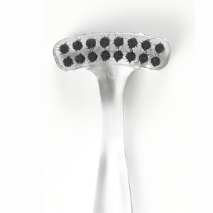 yԌ聚P10{zIGĂȂɂuVyDentalCheakuVz㖁 ۏ L\h \h L΍ N[i[  ނ a  