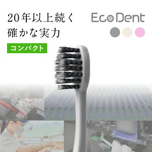 EcoDentRpNgт̍dFӂ Rێdl Ȉt {  I[PA  ނ a   sɂ₳ sX lapis cCA XpCH ɍז 