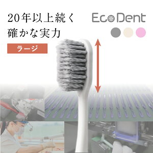 EcoDent<ラージ>毛の硬さ:ふつう 抗菌仕様 歯科医師推奨 日本製 歯間 オーラルケア 虫歯 むし歯 歯周病 歯肉炎 歯周炎 歯茎にやさしい ツイン植毛 スパイラル加工 極細毛 フラット毛 エコ