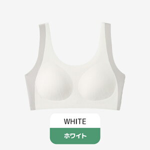 y10/30-11/1 撅聚2_ڔzN[|zWjAu X|[cu ⊴ hȂ z w w uW[ WjACi[ pbht mC[ Ci[ n[tgbv