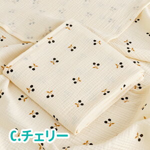  t  K[[ ݃K[[ xr[ މ@ K[[Pbg 100% 100×100cm ` ݃K[[ QPbg oX^I K[[Pbg V uPbg C  ^I 