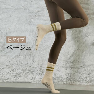 y11/30-12/1 Ԍ聚15%OFFN[|zC fB[X K\bNX 5{w ~ K\bNX 5{w\bNX ig Ƃ seBX t  H C O  ȍ X|[c 