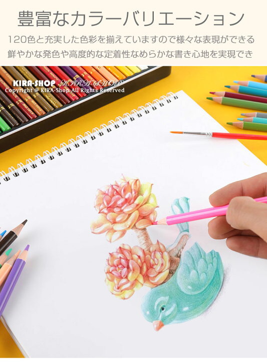 楽天市場 1色セット 色鉛筆 カラーペン 水溶性色鉛筆 絵の具 カラー セット アート鉛筆 スケッチ用 プレゼント 水彩色鉛筆 収納ケース ギフト 文房具 塗り絵用 Kira