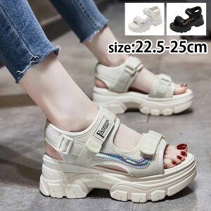 fB[X  T_ r[`T_ K[Y X|[cT_ 22.5--25cm JWA ̎q r y bNX Xj[J[T_ C ₷ AEghA V[Y 