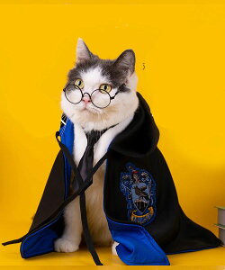 3_ZbgyKl+}g+lN^CznEB   L }g ybgEGA RX`[  ybg m hbOEFA ̕ ϐg nEBߑ  ybg n