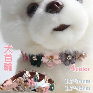    ^ ^ ^ L q p  킢  PUU[ ybg pi т ` gCv[h Č ybgpi ؂ 26-35cm