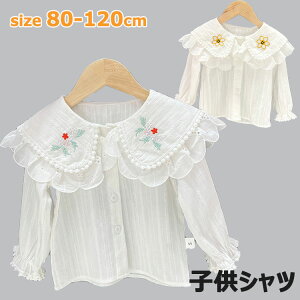 �z���C�g�V���c �q���� ���̎q ���� 2�^�C�v �u���E�X �L�b�Y �g�b�v�X �A�E�^�[ �x�r�[ ���ǂ� ���� �W���j�A �A���_�[�V���c �L�b�Y�p �� ���o���� �ʉ� �ʊw ���� ���킢�� 80 90 100 110 120