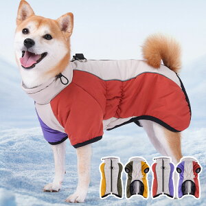 p[J[ ybg p ̕ WPbg g ~hbOEFA h  U o  ^ ^ ybgpi EȒP ΍ ~ tȒP 6TCY