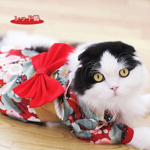 ybg  L  ^ ^ Č ꒅ   N LO  ܎O  a U t  LOBe Ղ  Pl ԉΑ   j a a hbO