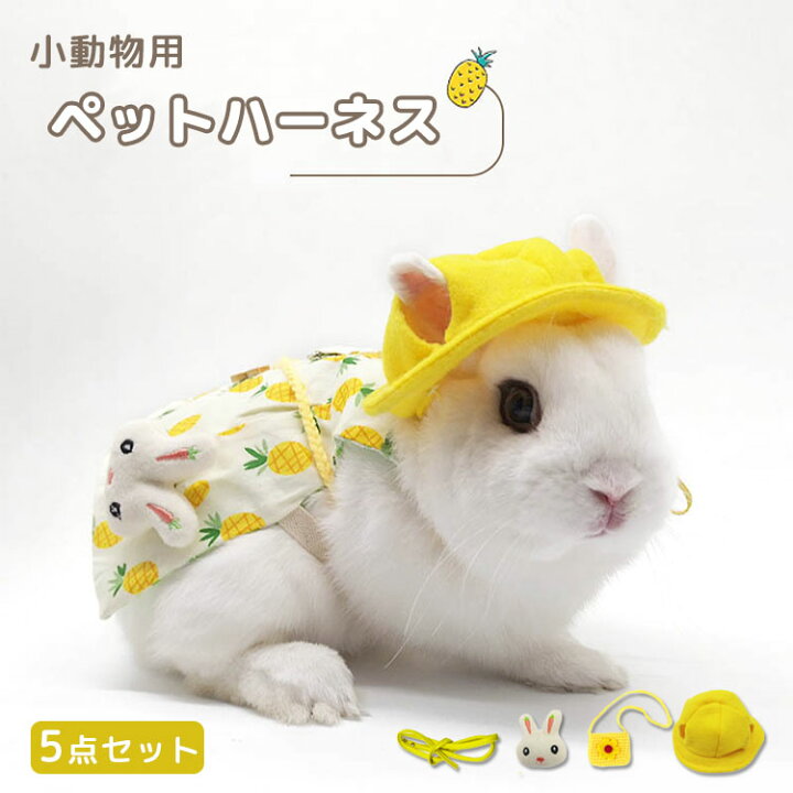 楽天市場】ウサギ服 ハーネス リードセット 可愛い 小動物 花柄 5点 