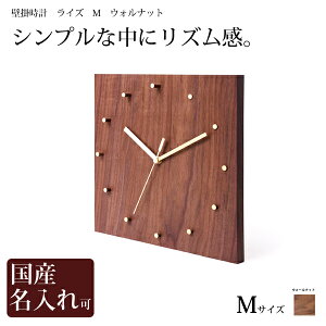 Ǌ|v ؐ v RISE(CYj M@EHibg h[~B[p[\ Ntg