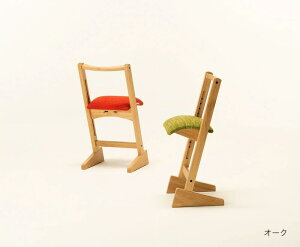 H| pbg`FA ߉\ pbg`FA PARROT CHAIR H| Ƌ {Ƌ