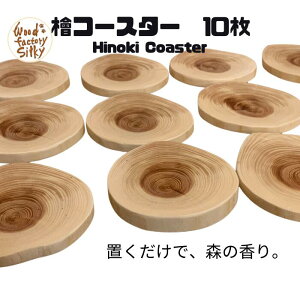 yHinoki Coasterz w@R[X^[@10Zbg@w̍@@|Cg10{@}\