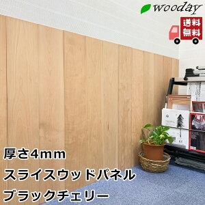 DIY \邾 VR ؍ ubN`F[ v~AXCXEbhpl   wooday Ebhpl  Ǎ