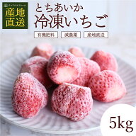 とちあいか 冷凍いちご 5kg 国産 冷凍苺 栃木 冷凍 いちご 苺 イチゴ 冷凍イチゴ 国産いちご 業務用 ワケ…