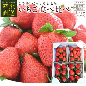 いちご とちあいか とちおとめ 食べ比べセット 合計4パック (各2パック) 苺 イチゴ itigo 栃木県産とちあいか 糖度 甘い 美味しい おいしい 苺ギフト 果物 フルーツ くだもの 母の日 食べ比べ お祝い 内祝い 高級 農家 直送 栃木 栃木県 栃木県産 好き プレゼント ギフト